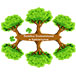 Logo strony: Świetlica Środowiskowa w Kędzierzynce